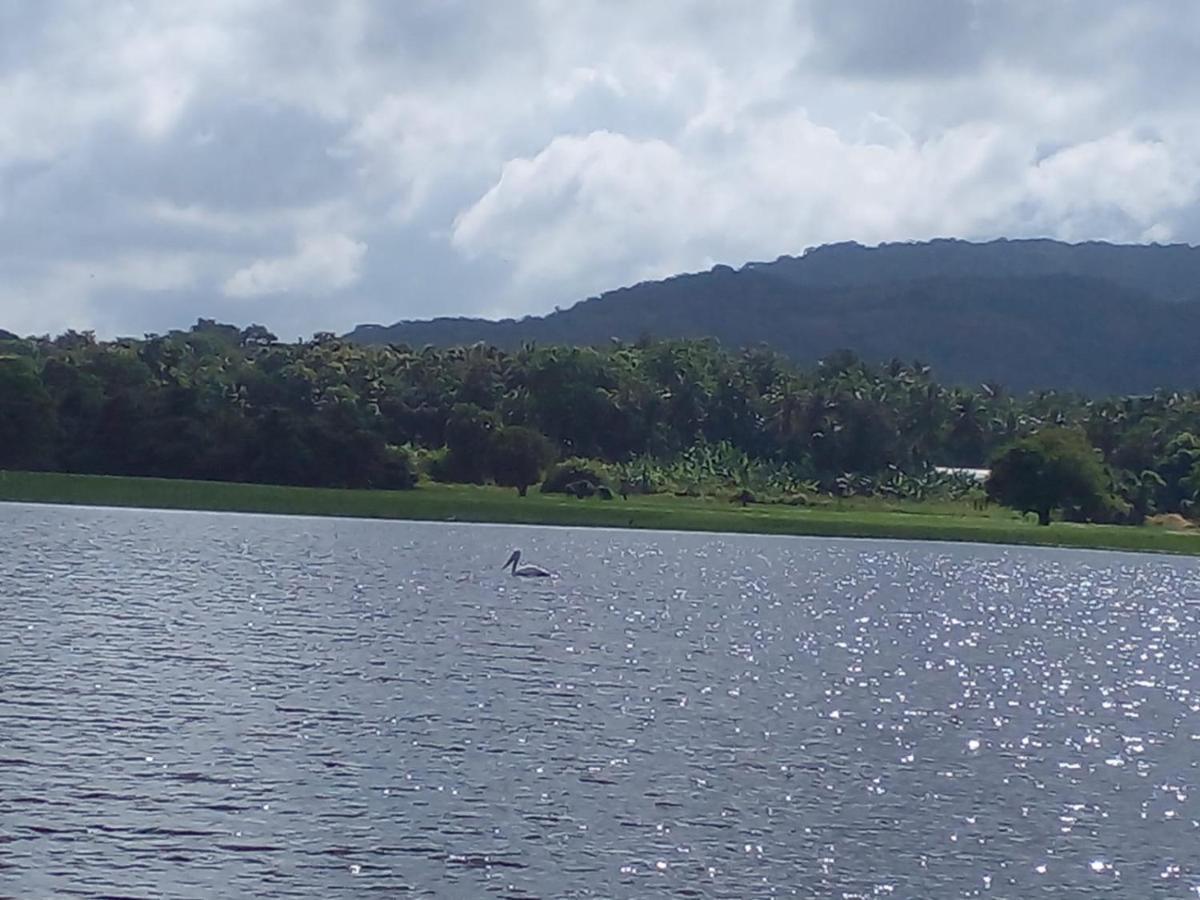 Lake Edge Dambulla Ngoại thất bức ảnh